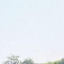 Aman Mishra photo