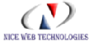 Nice Web Technologies photo