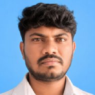 Dampetla Venkataramana Class 10 trainer in Dharmavaram
