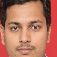Aary Prasanna Rathod Class 12 Tuition trainer in Pen