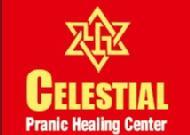 Roshni Pranic Healing Pranic Healing institute in Pune