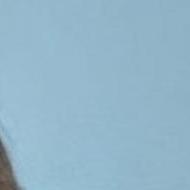 Saniya Gulsan Class I-V Tuition trainer in Dhulian