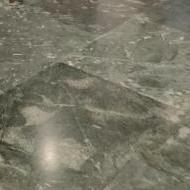 Shikha Class 11 Tuition trainer in Kakrawada