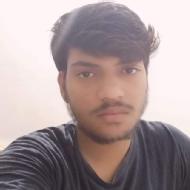 Ankit Singh Class 11 Tuition trainer in Delhi