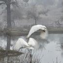 Photo of Tanishka S.