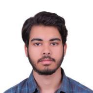 Tanush Mallick Class 12 Tuition trainer in Delhi
