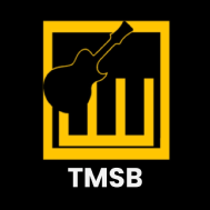 The Music School Bangalore Drums institute in Bangalore