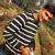 Desh