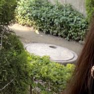 Shalu Y. Class 12 Tuition trainer in Gurgaon