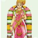 Nallagatla N. Home Tuition trainer in Hyderabad