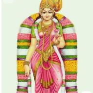 Nallagatla N. Fine Arts trainer in Hyderabad
