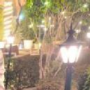 Vismita B. EVS Tuition classes trainer in Gurgaon