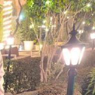 Vismita B. Class 9 Tuition trainer in Gurgaon