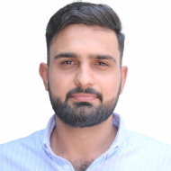 Anish Class 12 Tuition trainer in Hisar