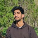Mohammad Idrees photo