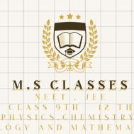 MS Classes Class 10 institute in Noida
