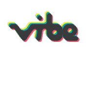 Vibe the fitness  Zumba Dance institute in Ahmedabad