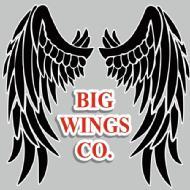 BIG WING'S CO.  Health and Fitness institute in Gurgaon