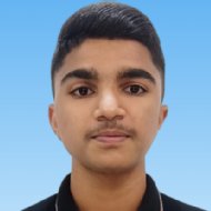 Aditya Patil Class I-V Tuition trainer in Pune