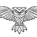 Photo of Morphiaas Institute