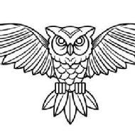 Morphiaas Institute Digital Marketing institute in Delhi