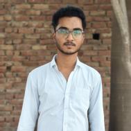 Salim Class 12 Tuition trainer in Lucknow