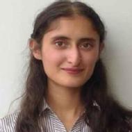 Nikita S. Python trainer in Solan