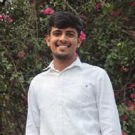 Ramesh Tiwari Class 12 Tuition trainer in Nagaur