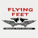 Flying Feet Martial Arts Academy photo