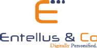 Entellus Academy Digital Marketing institute in Bangalore
