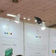 Tanisha V. French Language trainer in Delhi