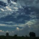 Kanishka S. Class 9 Tuition trainer in Delhi