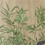 Nazia Class I-V Tuition trainer in Vijayawada