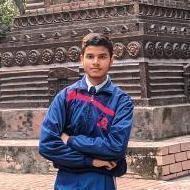 Vansh Chauhan Class 8 Tuition trainer in Ghaziabad