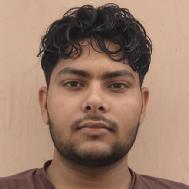 Nitesh Class 12 Tuition trainer in Jhajjar