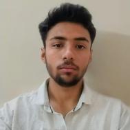 Mohammad Ayan Class 12 Tuition trainer in Lucknow