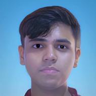 Mayank Yadav Class 9 Tuition trainer in Delhi