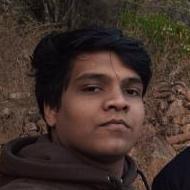 Divyansh Class 12 Tuition trainer in Noida