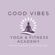 good Vibes yoga and Fitness academy  Yoga institute in Chennai