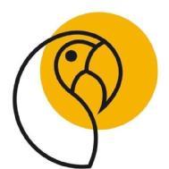 Preppeo Institute SAT institute in Gurgaon