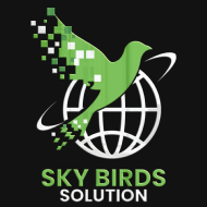 Sky Birds Solution Digital Marketing institute in Surat