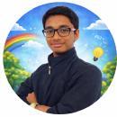 Prithul Mishra Class I-V Tuition trainer in Shamli
