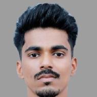 Vishnu P R Class I-V Tuition trainer in Palakkad