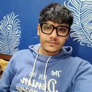 Mohit Class 11 Tuition trainer in Delhi
