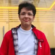 Chinmay Kumar Class 11 Tuition trainer in Areraj