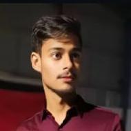 Himanshu Class 8 Tuition trainer in Delhi