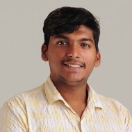 Rahul P. Class 11 Tuition trainer in Delhi