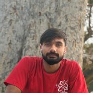 Sumit Kumar Class 12 Tuition trainer in Noida