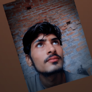 Harsh Thakur Hindi Language trainer in Bhongaon