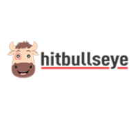 Hitbullseye MBA institute in Chandigarh